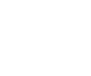 pinIcon
